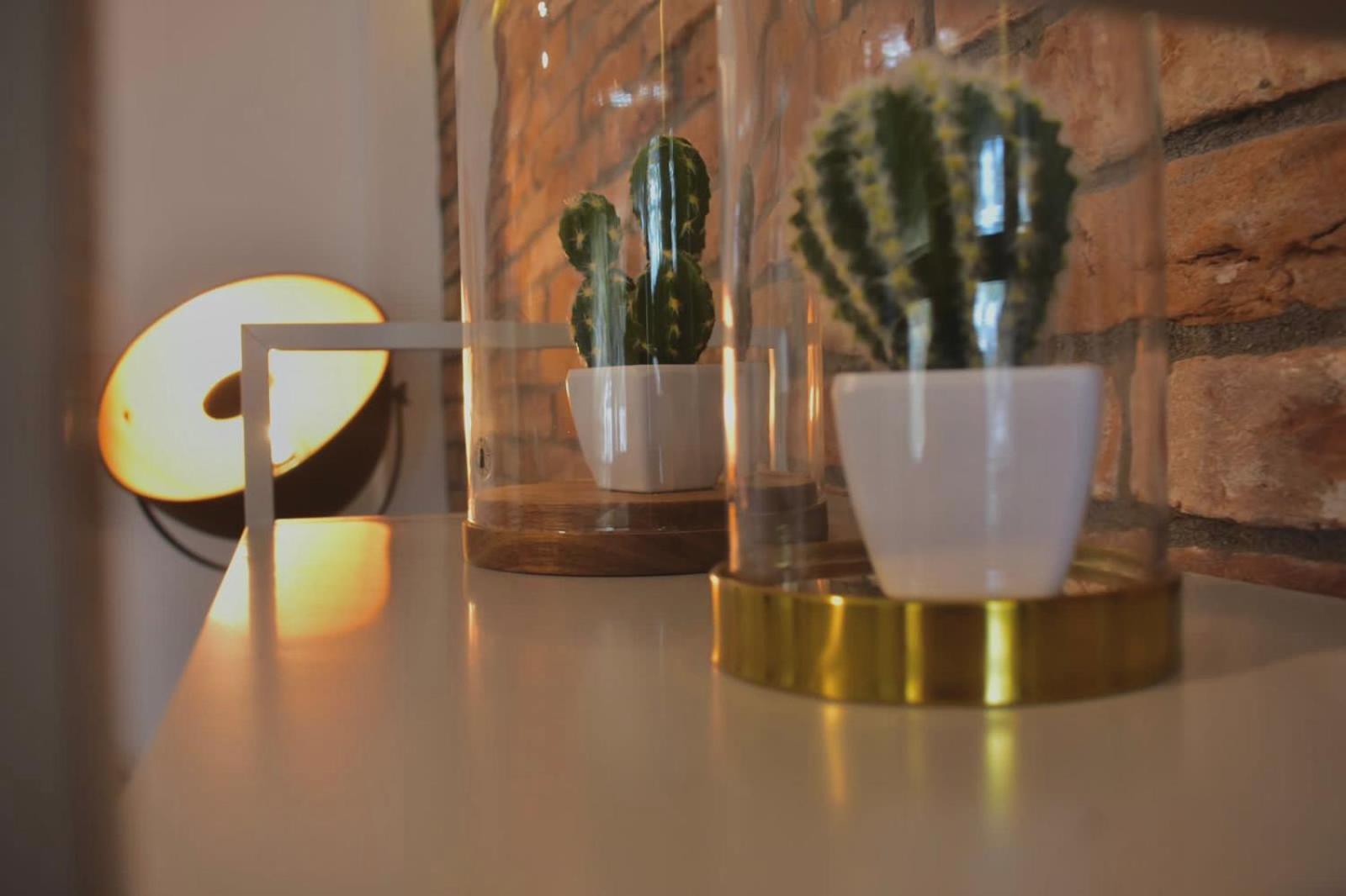 C&C Apartments アレクサンドルポリス エクステリア 写真
